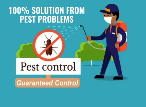 An Effective Solution for Controlling Pests
