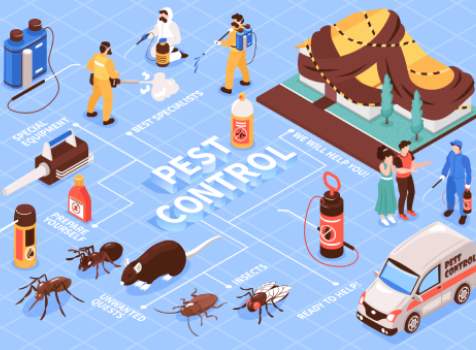Effective pest control devices in Conway - snake repeller, monkey repeller, mosquito key chain, and more. Eco-friendly options for a pest-free home.